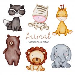 Animals