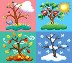 The Seasons