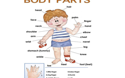 2. Describing People