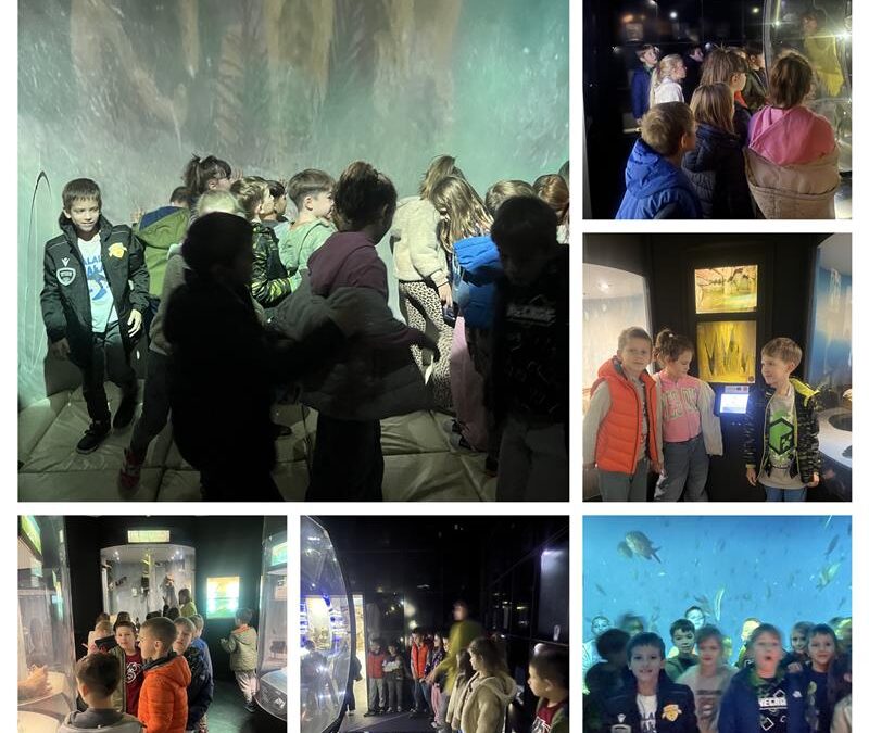 Posjet Prirodoslovnom muzeju