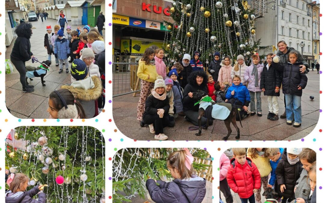 „Kuglica dobrih želja“