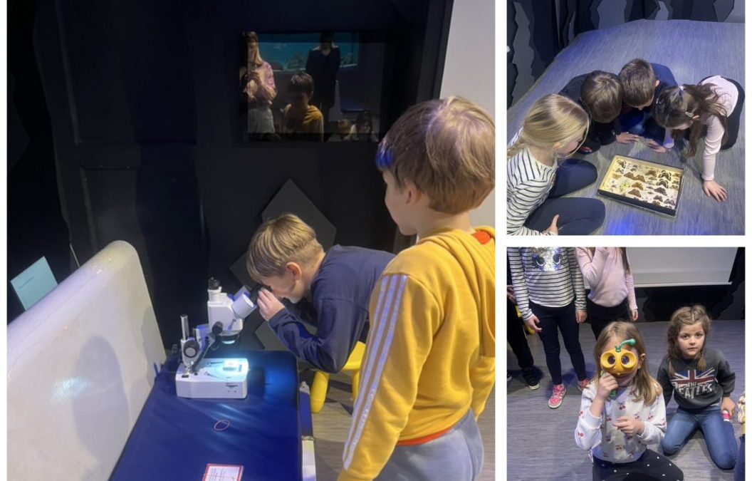 1. b razred u Prirodoslovnom muzeju