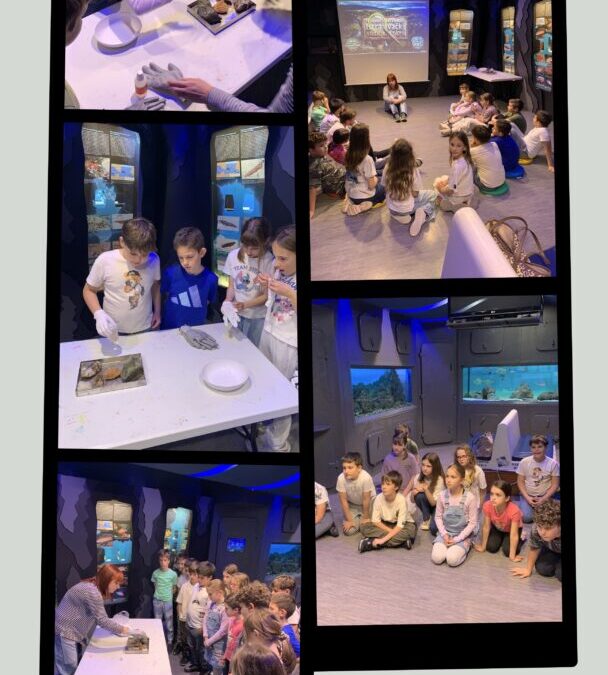 3. b u Prirodoslovnom muzeju „Rijeka“