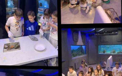 3. b u Prirodoslovnom muzeju „Rijeka“